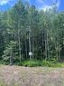 Lot Cedarwood Dr, Lakeside, NB 