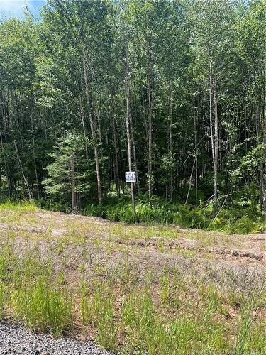 Lot Cedarwood Dr, Lakeside, NB 