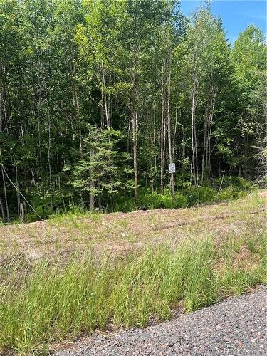 Lot Cedarwood Dr, Lakeside, NB 