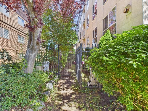 102-1028 Balmoral Rd, Victoria, BC - Outdoor