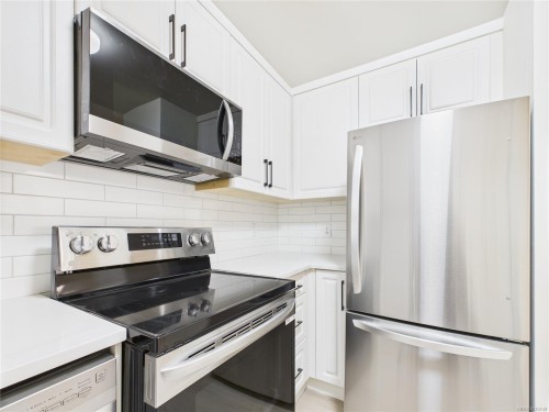 102-1028 Balmoral Rd, Victoria, BC - Indoor Photo Showing Kitchen With Stainless Steel Kitchen