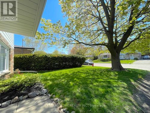 755 Botany Hill Crescent, Newmarket, ON - Outdoor