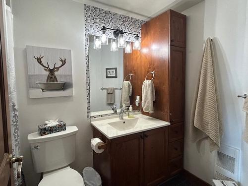 Bathroom - 6-166 Rue Du Mont-Plaisant, Mont-Tremblant, QC - Indoor Photo Showing Bathroom