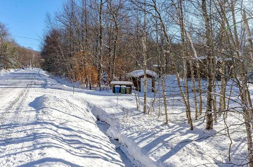 Land/Lot - 265Z  - 267Z Ch. Seigneurial, Sutton, QC - Outdoor With View