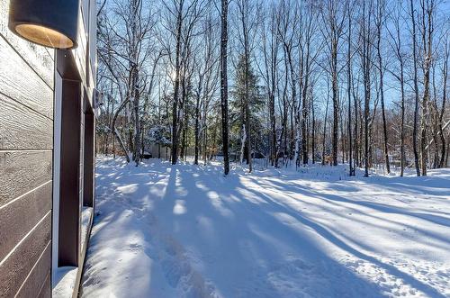 Land/Lot - 265Z  - 267Z Ch. Seigneurial, Sutton, QC - Outdoor With View