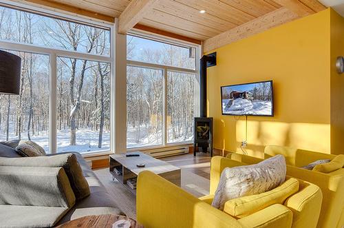 Living room - 265Z  - 267Z Ch. Seigneurial, Sutton, QC - Indoor Photo Showing Living Room