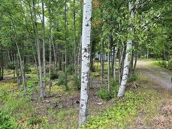 3901 Rte 101  Tracyville, NB E5L 1P5