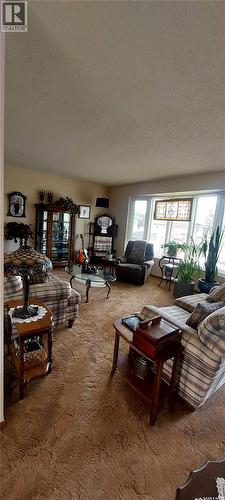 918 Anton Place, Wadena, SK - Indoor Photo Showing Living Room