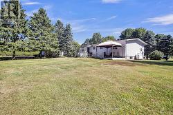 Back and side yard - 