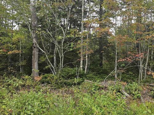211 Bennie Muckle Road Bramber, Bramber, NS 