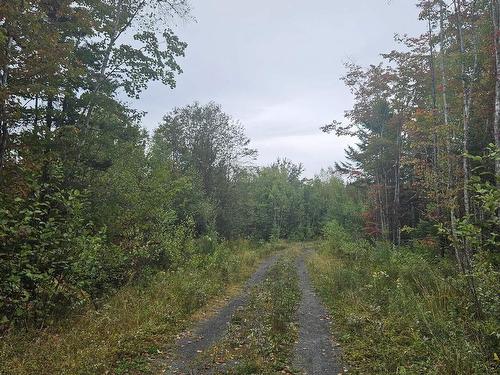 211 Bennie Muckle Road Bramber, Bramber, NS 