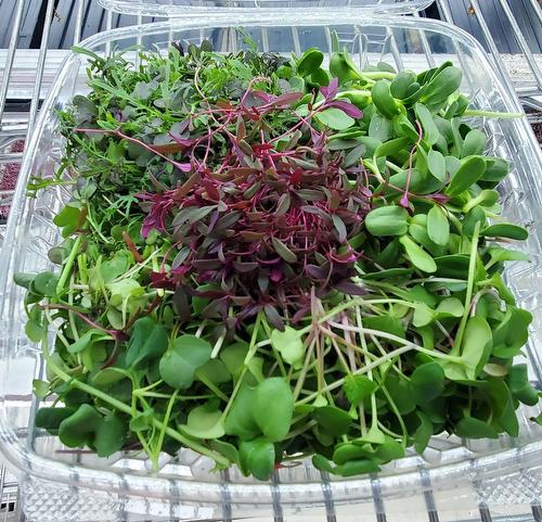 Commerce - 102-1001 Rue Émile-Bouchard, Vaudreuil-Dorion, QC 