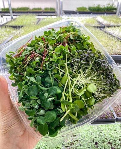 Commerce - 102-1001 Rue Émile-Bouchard, Vaudreuil-Dorion, QC 