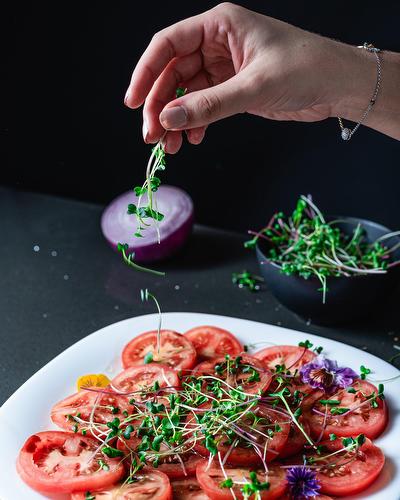 Commerce - 102-1001 Rue Émile-Bouchard, Vaudreuil-Dorion, QC 