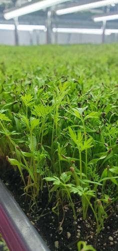 Commerce - 102-1001 Rue Émile-Bouchard, Vaudreuil-Dorion, QC 