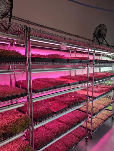 Commerce - 102-1001 Rue Émile-Bouchard, Vaudreuil-Dorion, QC 