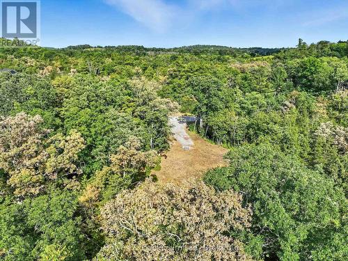 180 Riverside Drive, Trent Hills, ON 