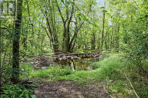 180 Riverside Drive, Trent Hills, ON 