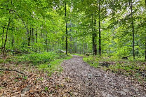 Extérieur - 90 Ch. Des Renards, Rigaud, QC - Outdoor