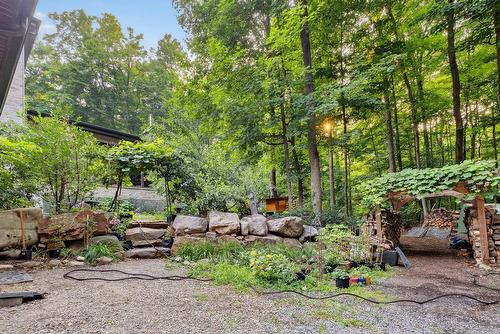 Extérieur - 90 Ch. Des Renards, Rigaud, QC - Outdoor