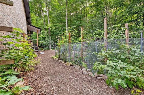 Extérieur - 90 Ch. Des Renards, Rigaud, QC - Outdoor