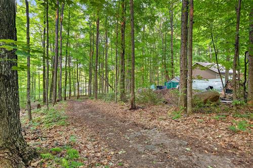 Extérieur - 90 Ch. Des Renards, Rigaud, QC - Outdoor