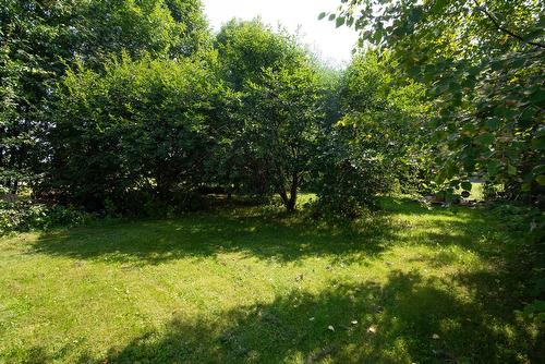 Extérieur - 351 Ch. Taché E., Saint-Marcel, QC - Outdoor