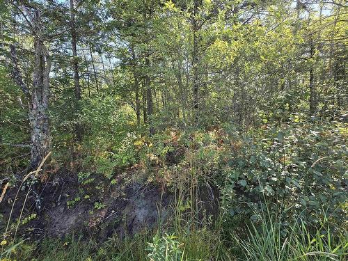 Lot 21-3 Messenger Road, Paradise, NS 