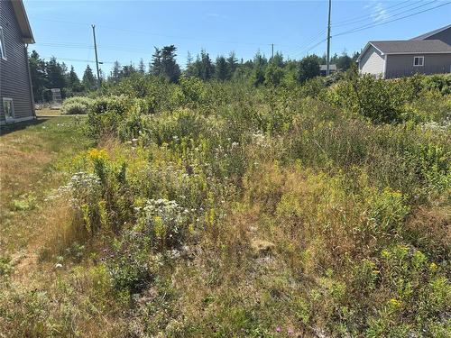 4 Captains Place, Bay Roberts, NL 