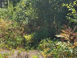 931 RIVER ROAD E  Wasaga Beach, ON L9Z 2P4