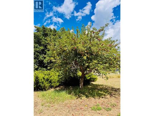 1270 59 Avenue, Grand Forks, BC - Outdoor With View