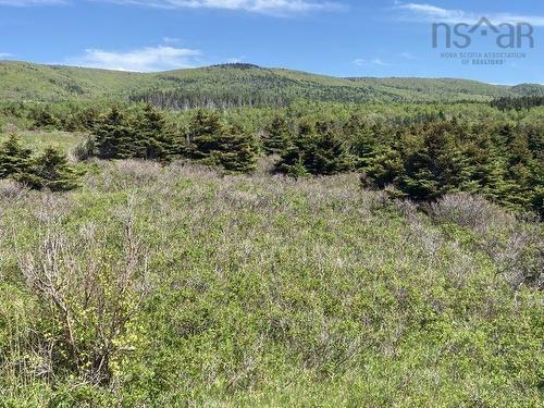 Cabot Trail, Cap Le Moine, NS 