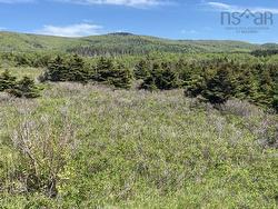 Cabot Trail  Cap Le Moine, NS B0E 3A0