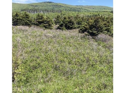 Cabot Trail, Cap Le Moine, NS 