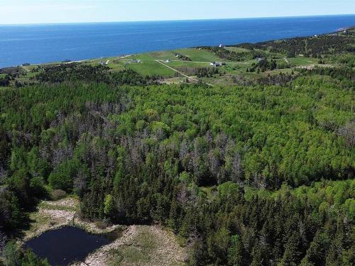 Cabot Trail, Cap Le Moine, NS 