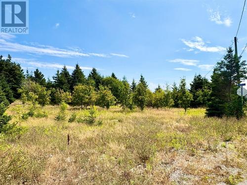 792 Water Street, Bay Roberts, NL 