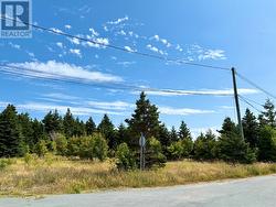 792 Water Street  Bay Roberts, NL A0A 1G0