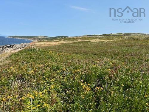 Cabot Trail, Cap Le Moine, NS 