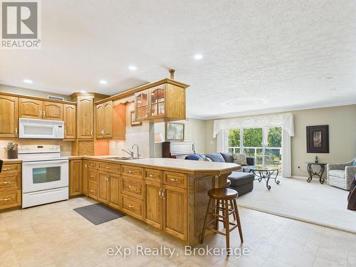 202 - 85 William Street N, Brockton, ON - Indoor Photo Showing Kitchen