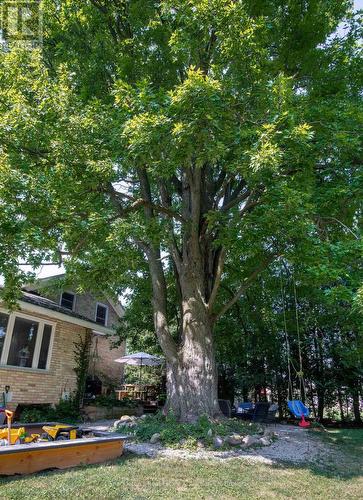 5990 Perth Line 8, Perth South (Blanshard), ON - Outdoor