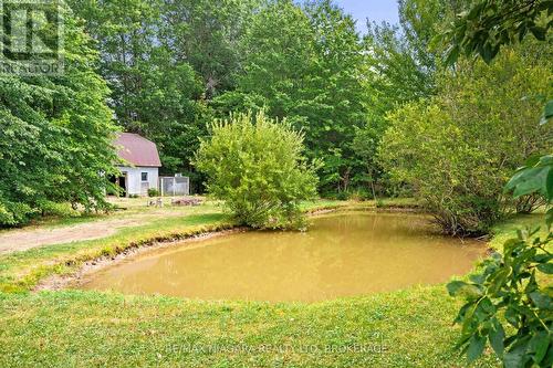 594 Doans Ridge Road, Welland (Cooks Mills), ON - Outdoor