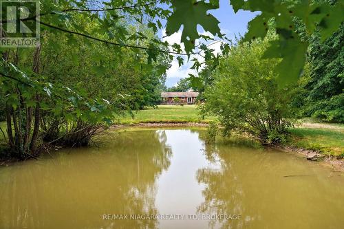 594 Doans Ridge Road, Welland (Cooks Mills), ON - Outdoor With Body Of Water With View