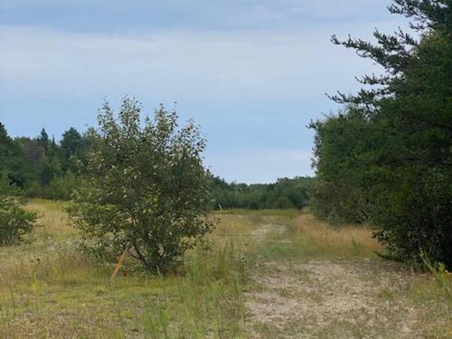 Gaye Street, Kenora, ON 