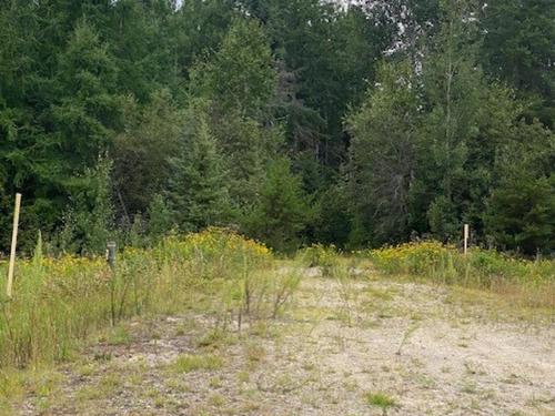 Gaye Street, Kenora, ON 