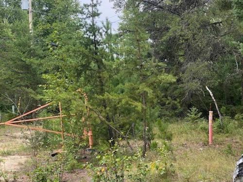 Gaye Street, Kenora, ON 