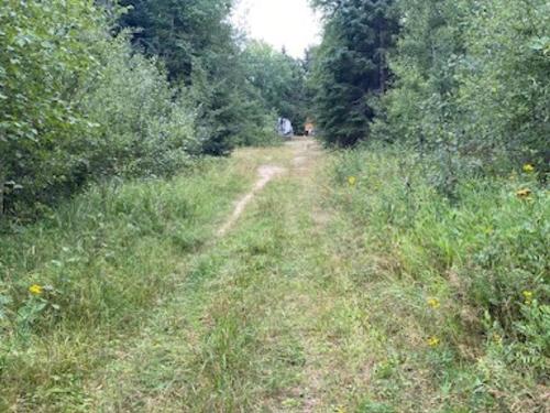 Gaye Street, Kenora, ON 