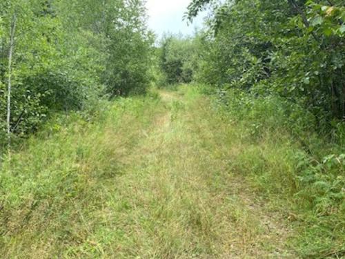 Gaye Street, Kenora, ON 