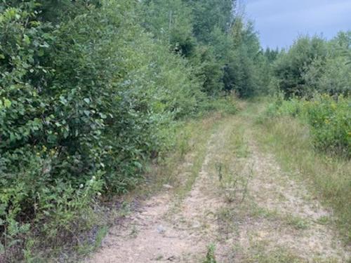 Gaye Street, Kenora, ON 