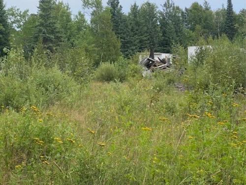 Gaye Street, Kenora, ON 