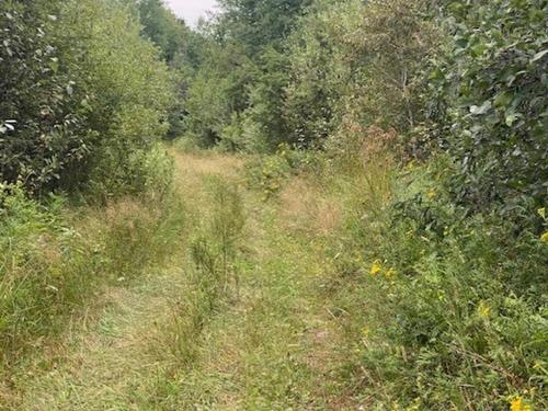 Gaye Street, Kenora, ON 